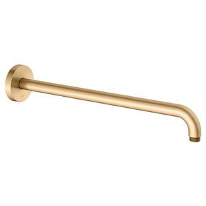 Douchearm DN 15 wandaansl. G 1/2 ronde rozet 51688250400