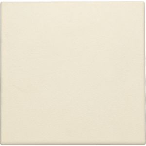 Spuitwaterdichte blindplaat cream