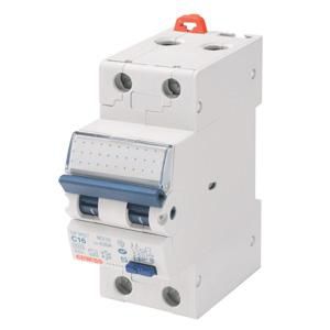 AARDLEKAUTOMAAT 1P+N B-KAR 10A 300mA TYPE-A 6KA 2MOD.MDC60
