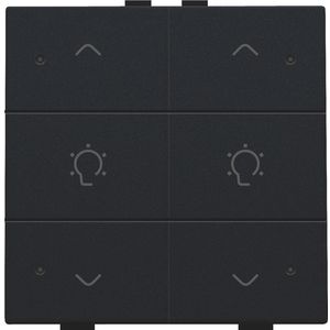 Dubbele dimbediening met led Home Control black coated