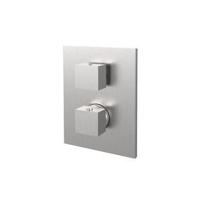Inbouw LEVEL douchethermostaat met 2-wegsomsteller-compleet. RVS-look