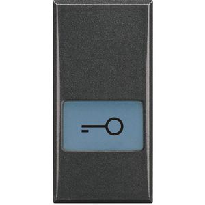 Toets verle Sleutel symbool 1 module antraciet Axolute