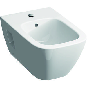 Renova Plan wandbidet 54cm wit Keratect