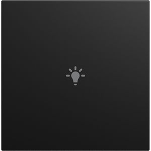 cpl v 1v drukknop lichtsymbool SI-B-matzwart (LFBT/A.1.55.11-915)