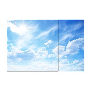 BL Sky LED 6060 4000lm Type 32 Sunlight 4 Panel