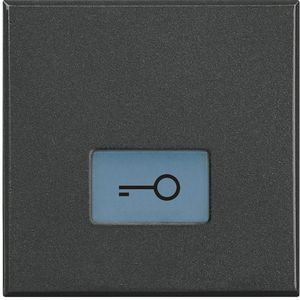 Toets verle Sleutel symbool 2 modulen antraciet Axolute