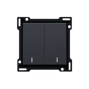 Afwerkingsset dubbele lens serieschakelaar antracite