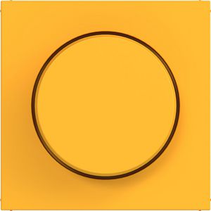Afdekking voor draaidimmer A.x/C.x saffron mat
