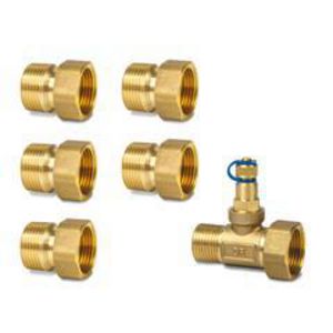 Koppeling ALN14.205B-ALP56 6-weg mPICV DZR m. CW602N DN15