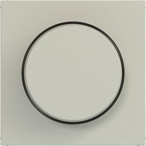 Afdekking voor draaidimmer A.x/C.x pebble mat