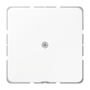 Afdekking alpin wit v.kabelinvoer CD500