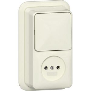 Combi uit-wis/wandcontactdoos ongeaard 2-p + K/P25 Opbouw creme wit
