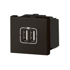 Lader 2xUSB A-2,4A-12W 2 modulen Mosaic