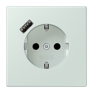 Wandcontactdoos met R/A + lader USB A Saf+ LC32034