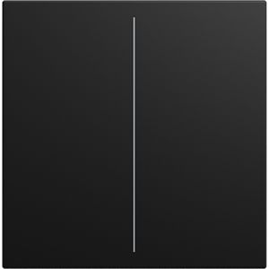 cpl v Keypad 2-voudig SI-B-matzwart (LFW/A.2.55.11-915)