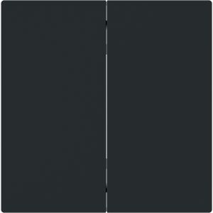 Bedieningswip 2v FoH art-matzwart Smart Switch (6736 FoH-45M)