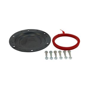 Reinigingsdeksel D193 compleet (B80T) 200010080