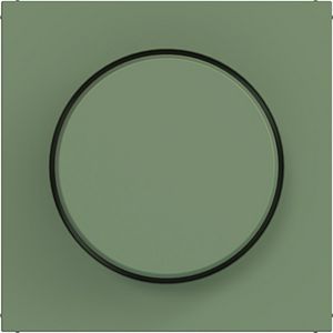 Afdekking voor draaidimmer A.x/C.x aloe mat