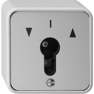 Sleuteldrukcontact  1-p spatwaterdicht opbouw grijs