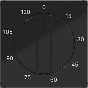 Centraalpl mechanische tijdschakelklok 0-120 min. A.x/C.x zw