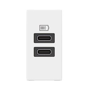 USB lader C + C 15W 1 module wit Mosaic