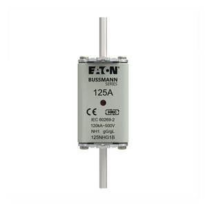 Zekering laagsp. 125A AC 500V NH1 gL/gG dubbele meld VVE=3