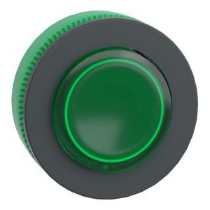 Flush mounted green projecting illum pushbutton head integr.