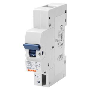 ARBEIDSSTROOMAFSCHAKELSPOEL-IDP 25-100 A 2-4P 110-125 Vdc-
