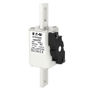 Fuse-link high speed 100A 800 Vdc 100 kA 115x58x45 body 1  T
