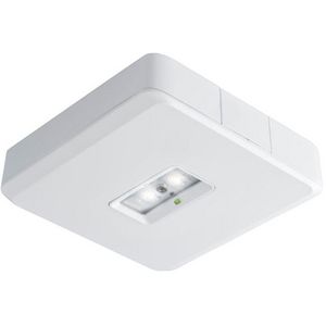 Decentraal 2W 3 uur ontworpen mont 4 meter wit opbouw led