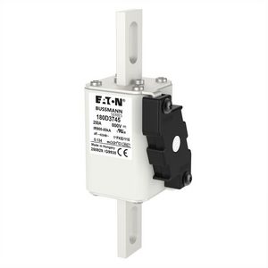 Fuse-link high speed 250A 800 Vdc 100 kA 115x58x45 body 1  T