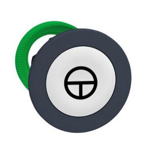 FLUSH MOUNTED WHITE FLUSH CAPS PUSHBUTTON HEAD BLACK T
