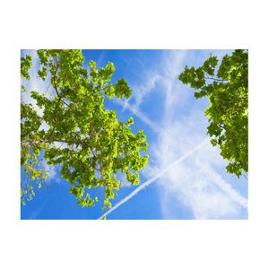BL Sky LED 6060 4000lm Type 20 Tree light 12 Panel