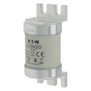 Zekering laagspanning 315A AC 660V BS88 49x110mm gL/gG BS