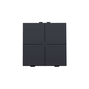4-voudig drukknop Home Control anthracite