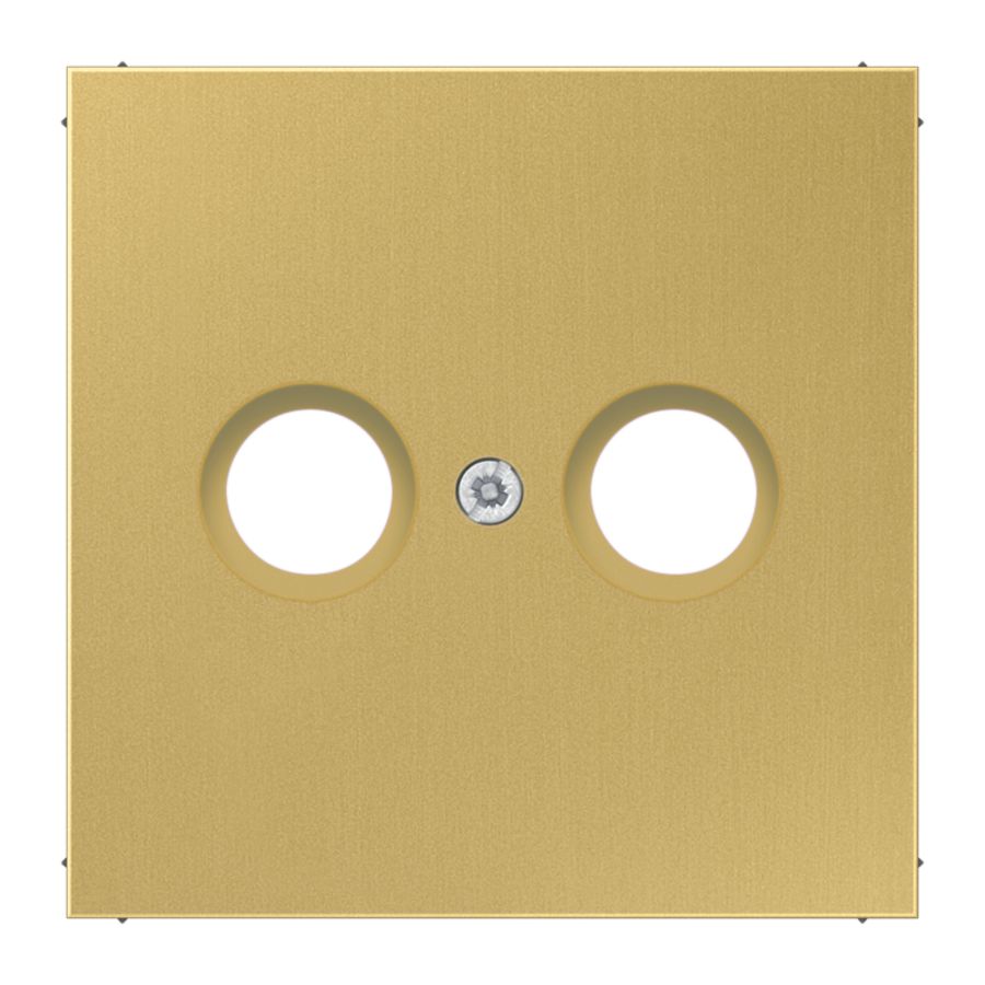 Afdekking TV-FM LS messing klassiek