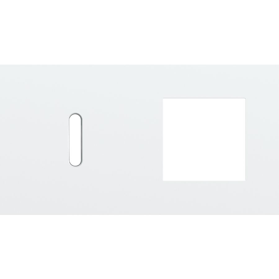 Afdekplaat 2-voud horiz. 71mm centerafst. 154-56805