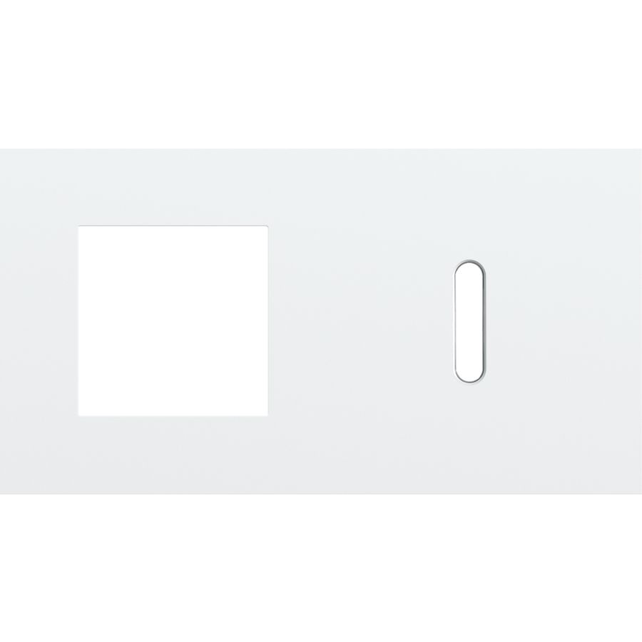 Afdekplaat 2-voud horiz. 71mm centerafst. 154-56806