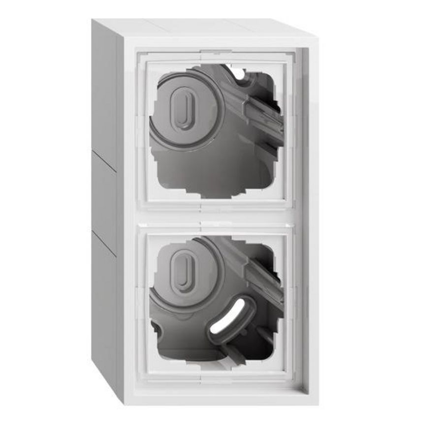 opbouwbehuizing 2-voudig + Afdekraam Gira F300 zuiver wit