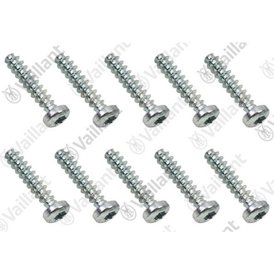 Set a 10st. Schroef 0010031347