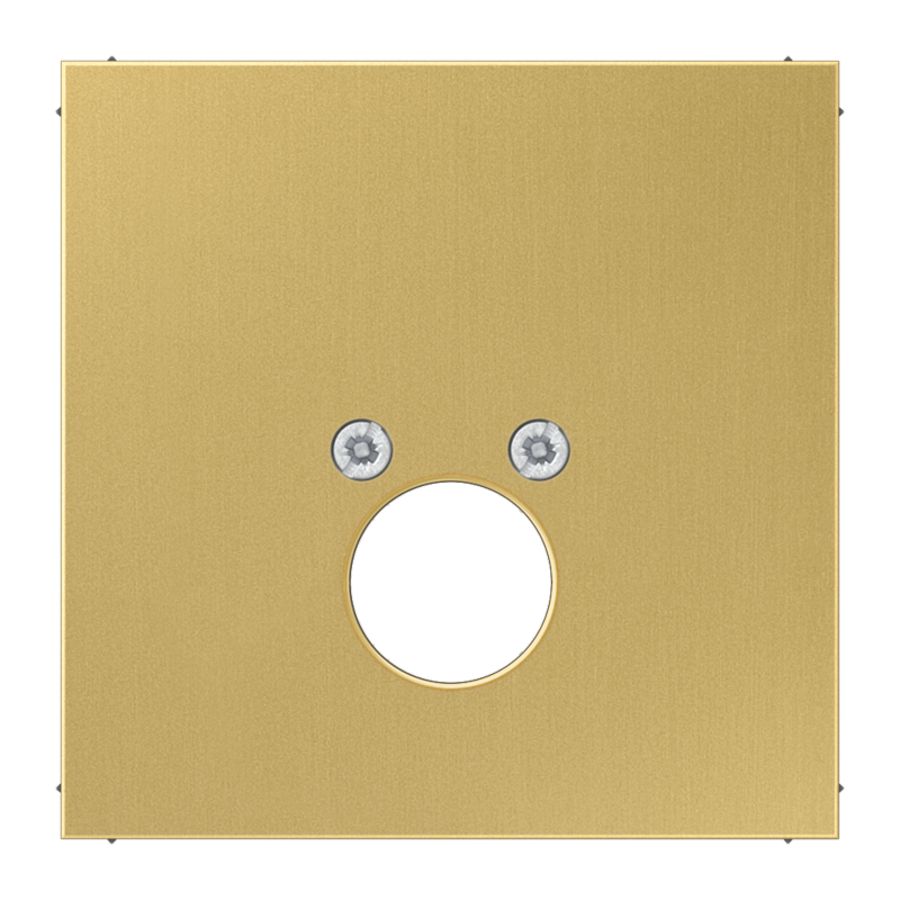 Afdekking luidspreker-BNC LS messing klass.