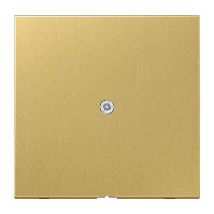 Afdekking kabelinvoer LS messing klass.