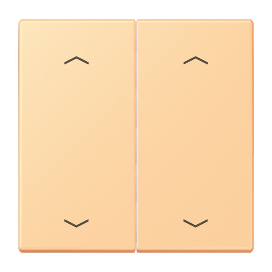 Wip KNX-F10 taster 2voudig pijl LC4320P