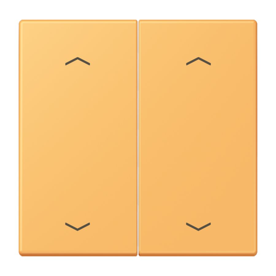 Wip KNX-F10 taster 2voudig pijl LC4320L