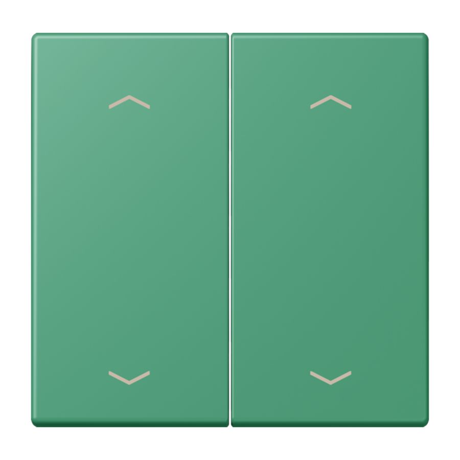Wip KNX-F10 taster 2voudig pijl LC4320G