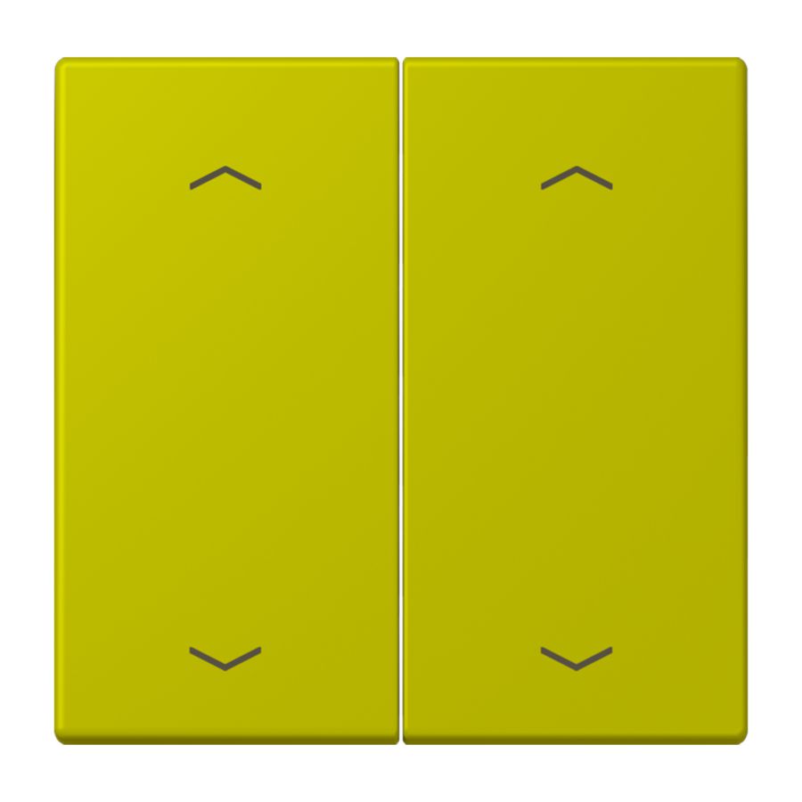 Wip KNX-F10 taster 2voudig pijl LC4320F