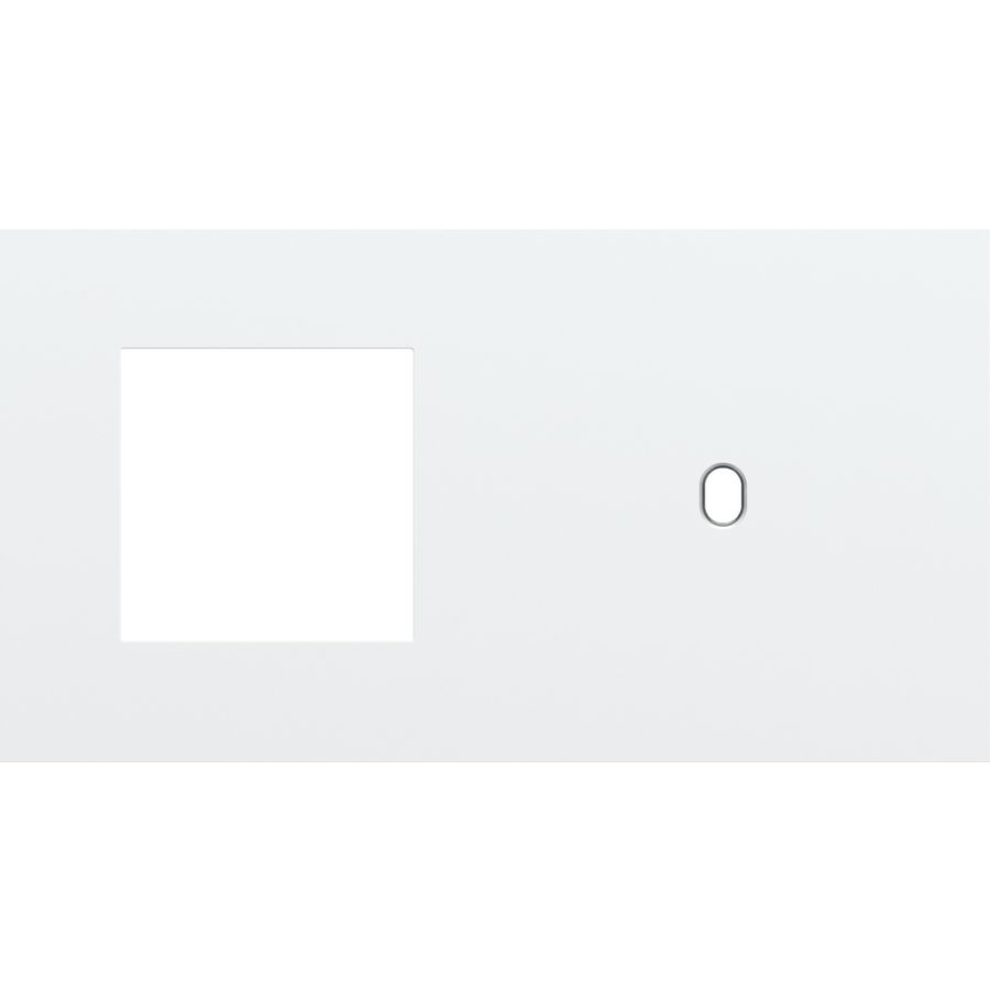 Afdekplaat 2-voud horiz. 71mm centerafst. 154-57806