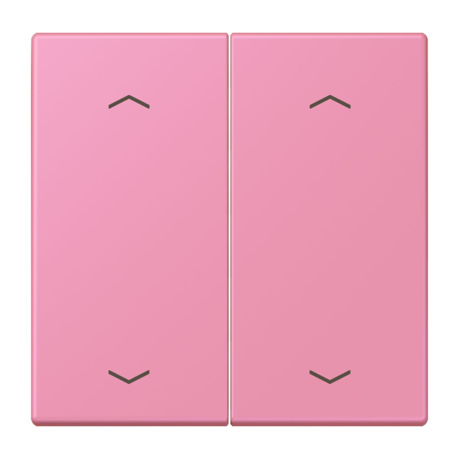 Wip KNX-F10 taster 2voudig pijl LC4320C