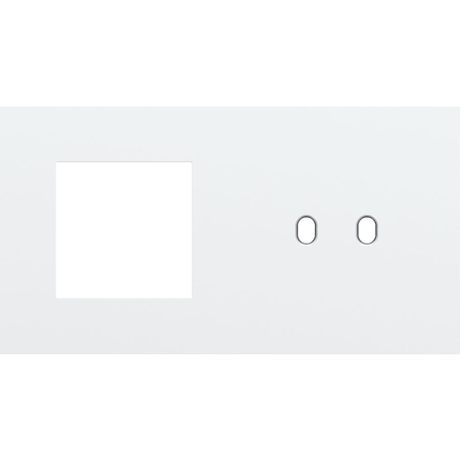 Afdekplaat 2-voud horiz. 71mm centerafst. 154-57808