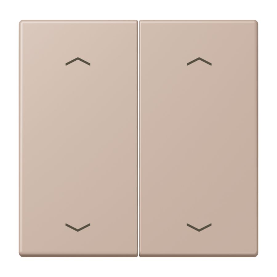 Wip KNX-F10 taster 2voudig pijl LC32131